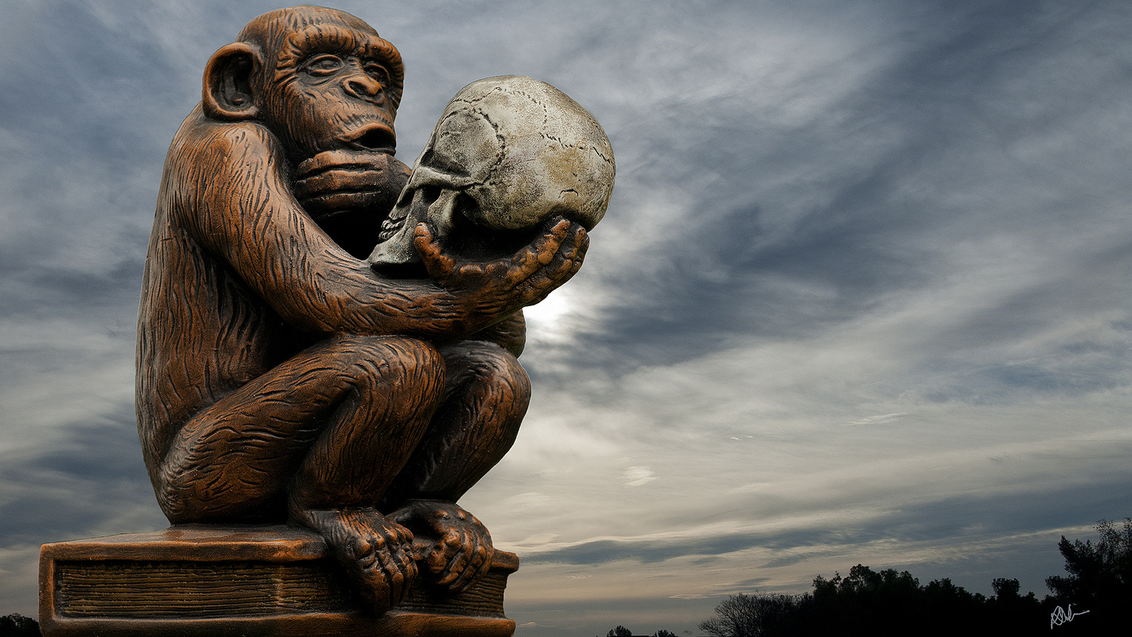 homo sapiens 