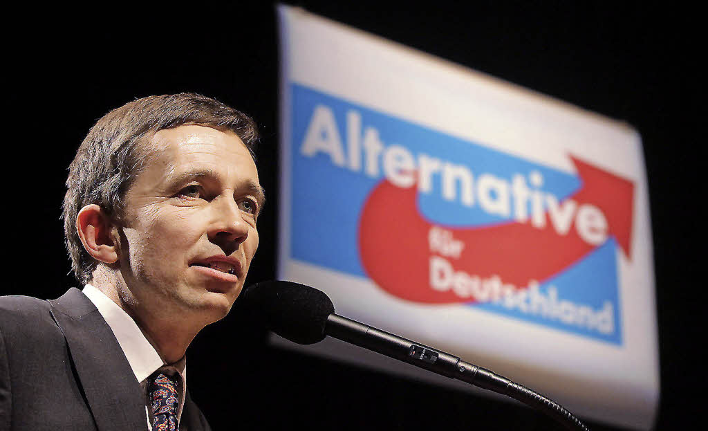 afd allemagne