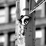 Crédit-photo-Flickr-changsterdam