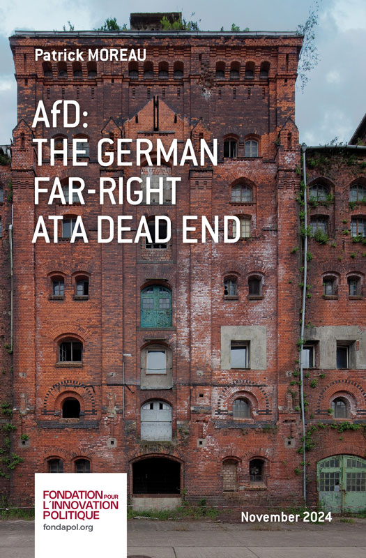AfD: the German far-right at a dead end